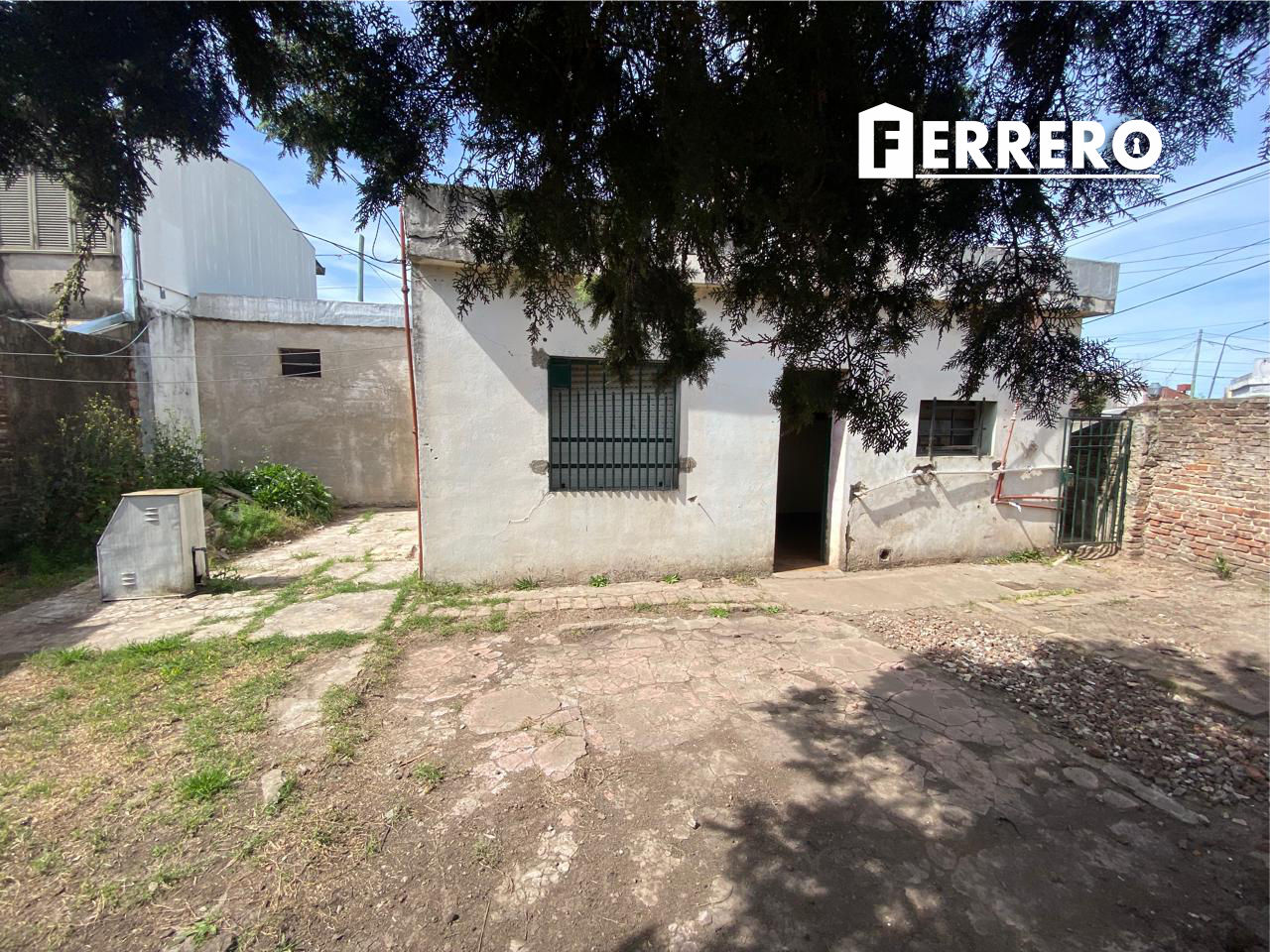 Imagen 8