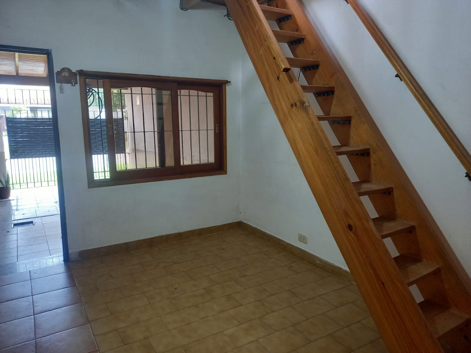 Imagen 5