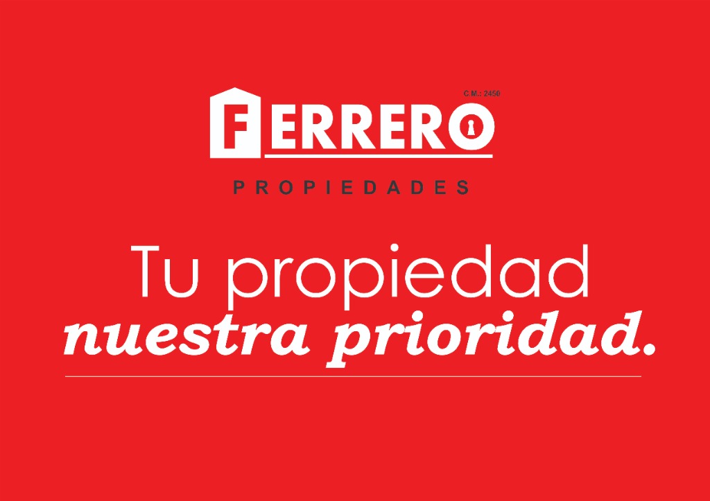 Imagen 19