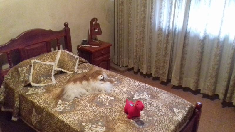 Imagen 2