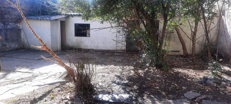 Imagen 5