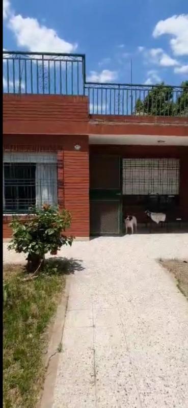 Imagen 6