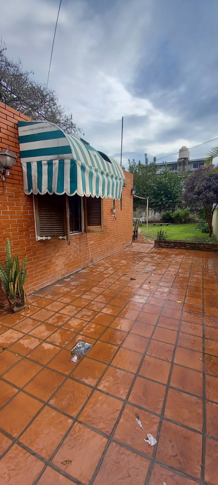 Imagen 6