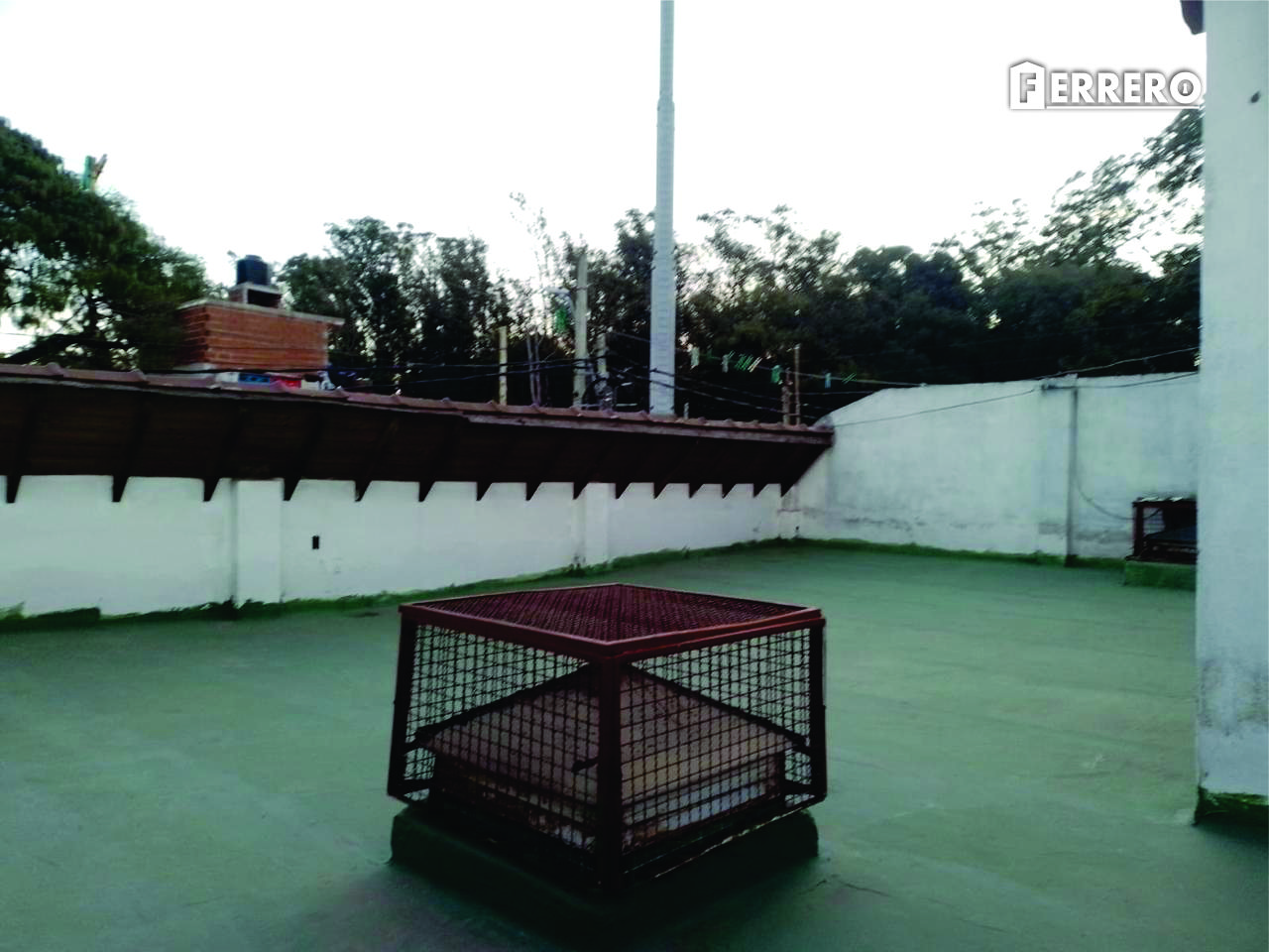 Imagen 11