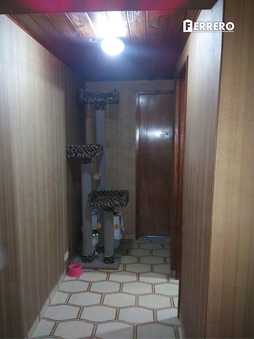 Imagen 14