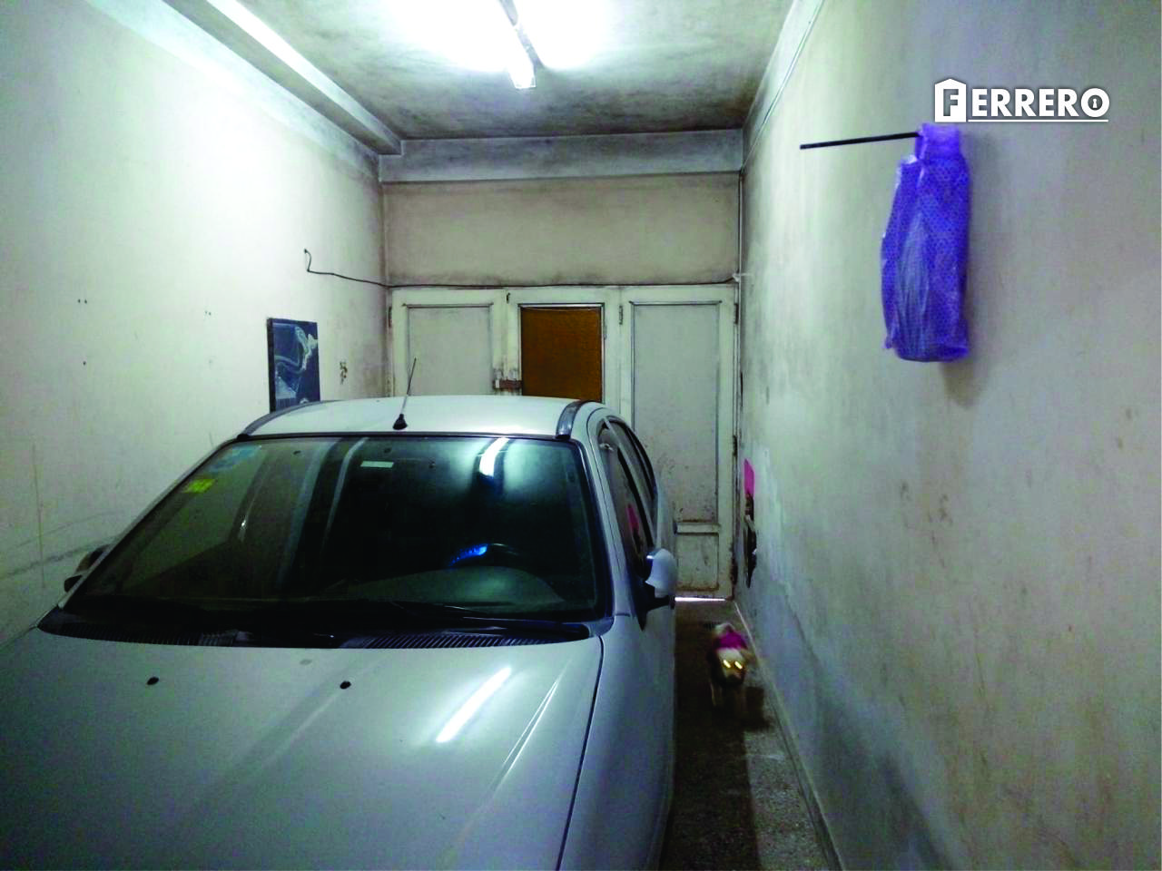 Imagen 16