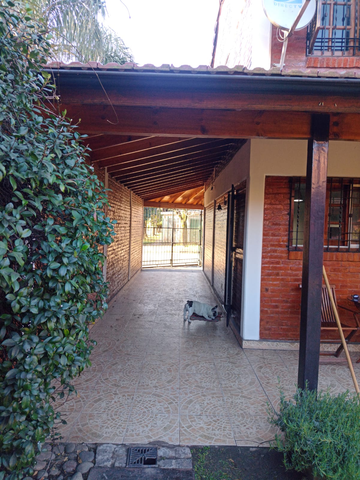 Imagen 1