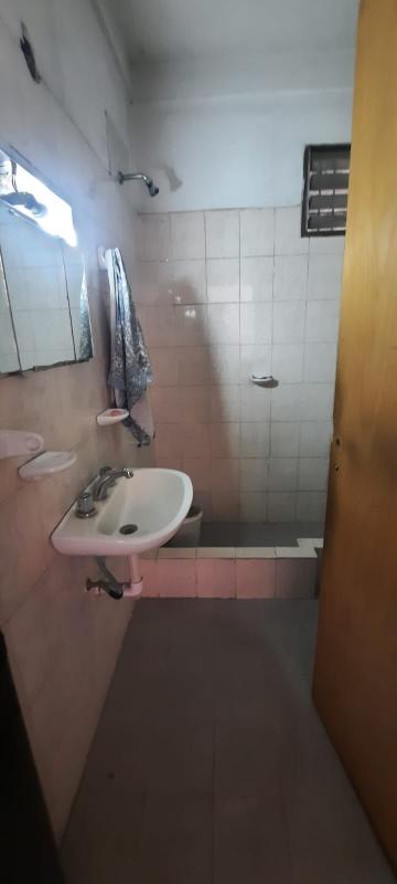 Imagen 7
