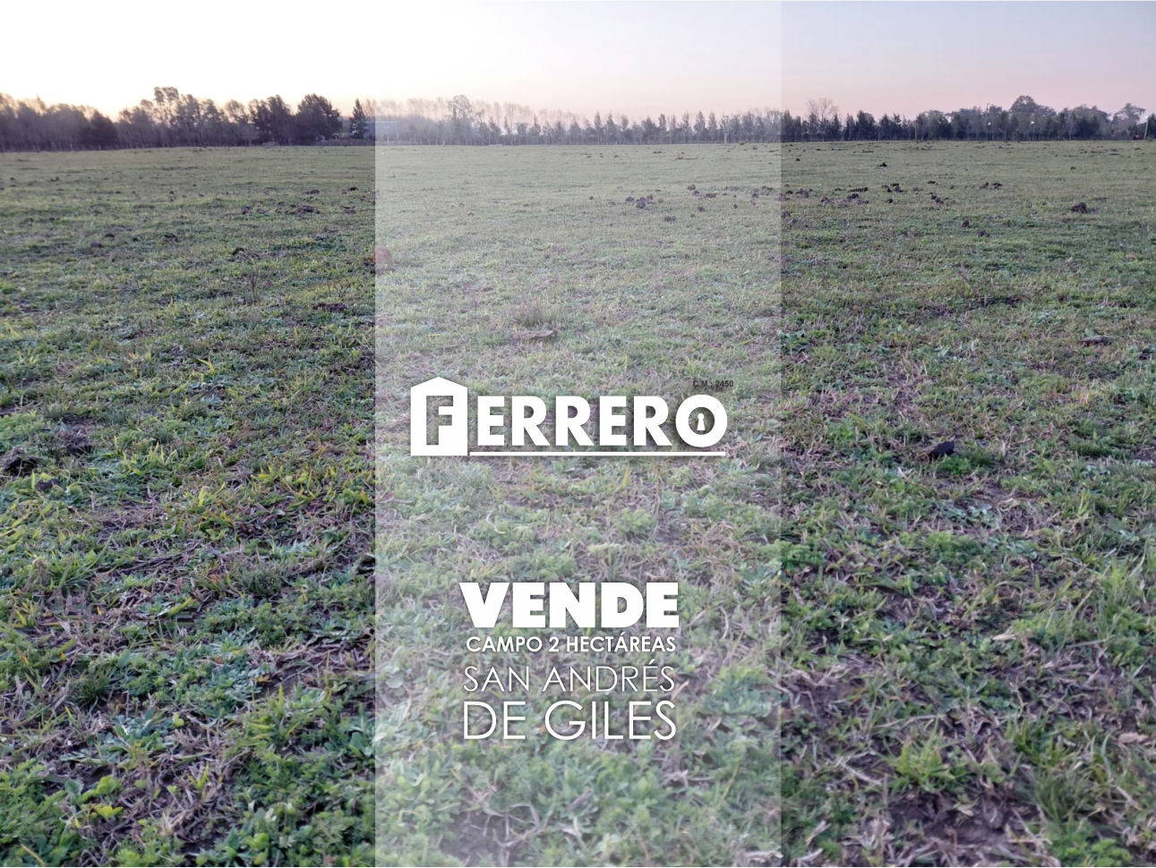 CAMPO EN VENTA