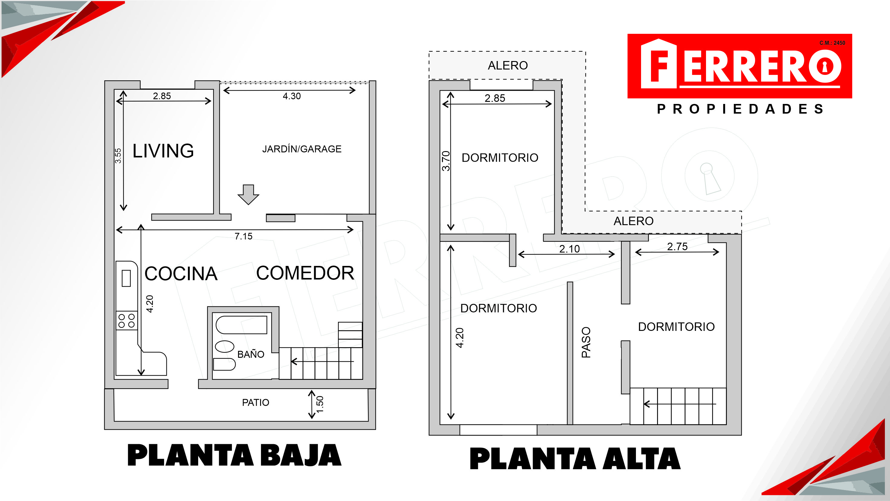 Imagen 19